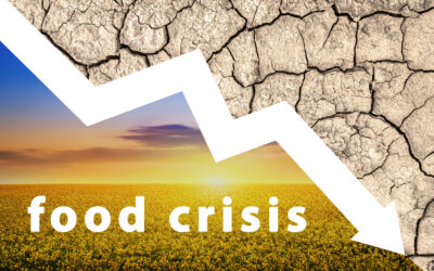 Climate Breakdown, Factory Farming & The Future of Food [part I]